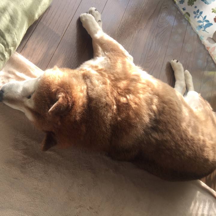 4b929a7b ccb3 44b3 9a95 5b716eb4de5d 1557062530627