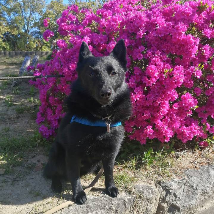 4b92af30 fb72 4eec 9de7 3366febb7a62 1618098127808