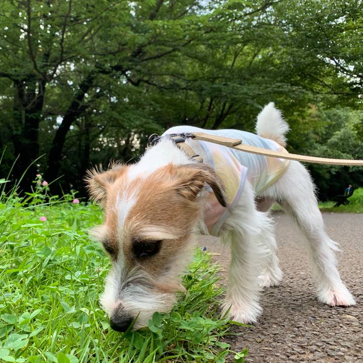 4b92def8 133c 4ba9 941f 5cda81b1d1cd 1595846876758