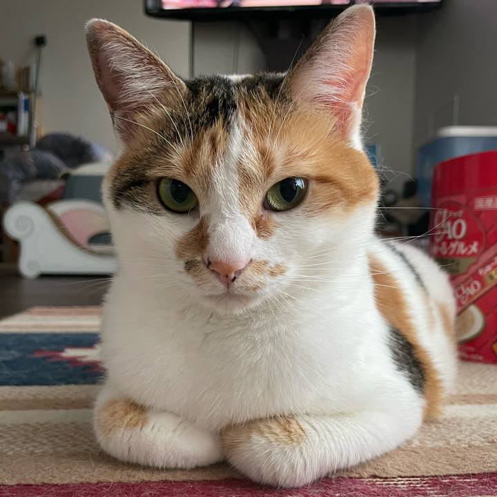 4b92fbed f0ca 4cda a4c1 f6e9f6909e2f 1656041433076