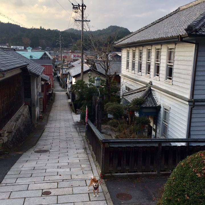 4b932a7c 60c6 444d ad55 7009605eba1d 1512301370422