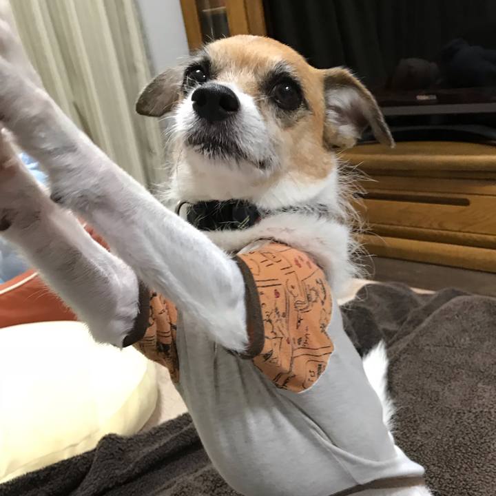 4b933d23 ffc9 4bd2 aaca 6085f130d9c4 1540893204507