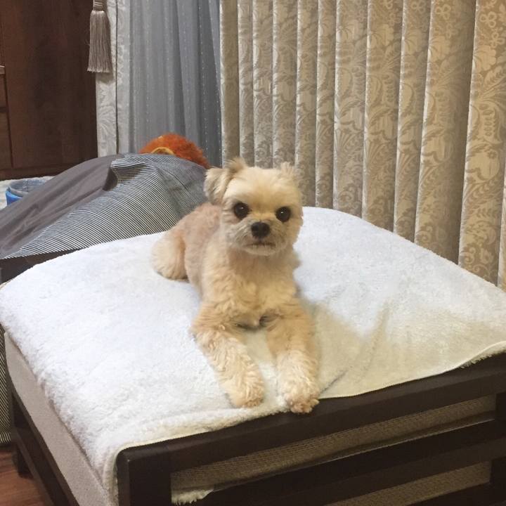 4b935c11 776e 4d1b b5ef 9689406005ce 1554721822017