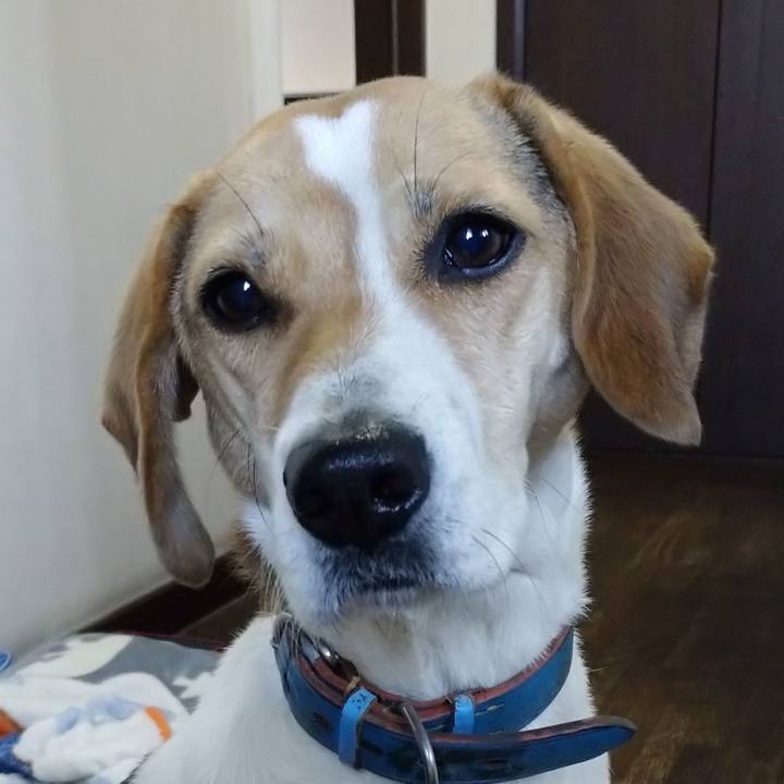 4b93918a 83ed 426b a1c6 7f4273d7759e 1610894342761