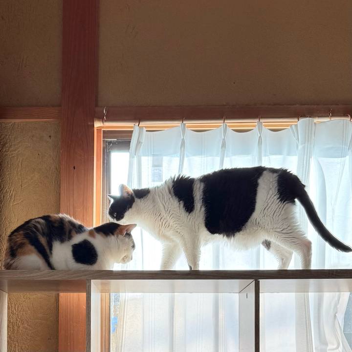 4b93b741 d59a 49c6 8b2e 802abef2e1a5 1735697181486