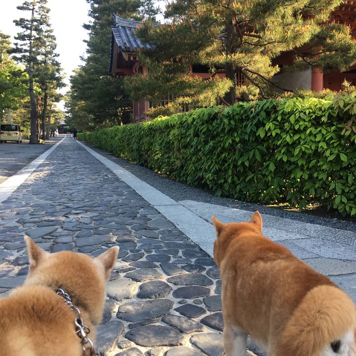 4b941398 0eca 4e31 b183 68ba6b5178fe 1524873819472