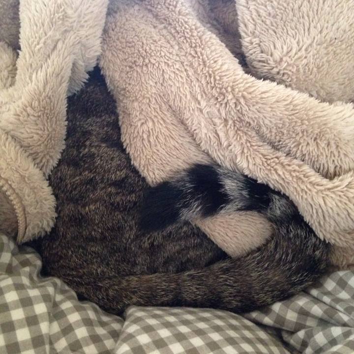 4b941c57 4731 4792 98da 40cffa8d2c42 1510371720062