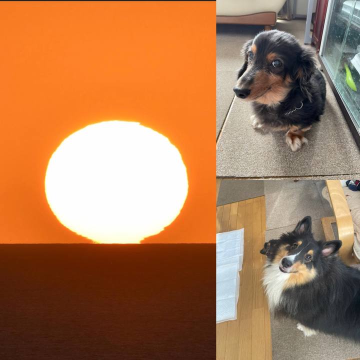 4b941cbd f473 454e bd32 b305f30b0a21 1631483482024