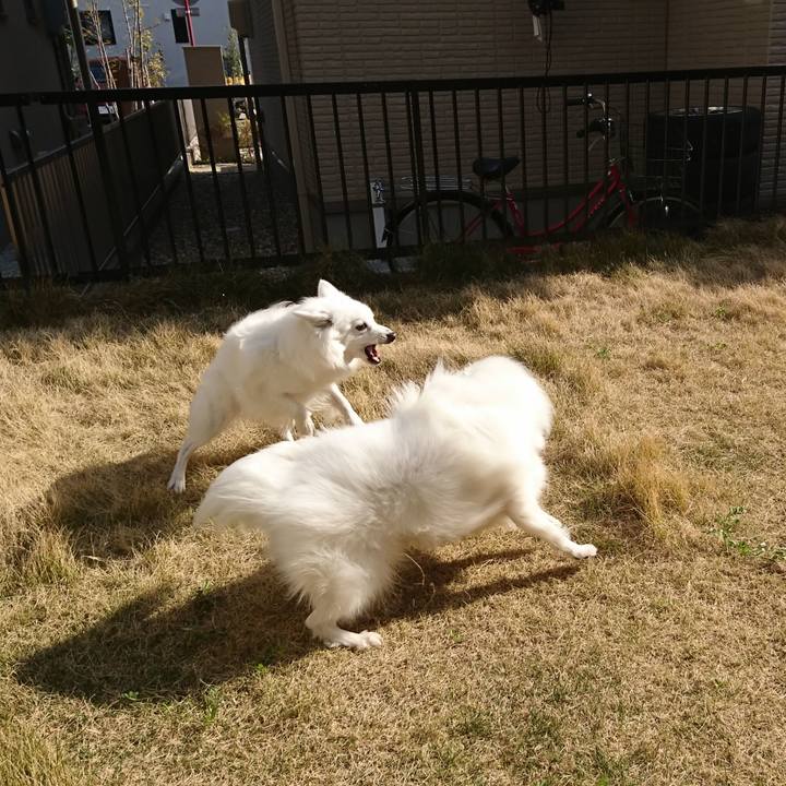 4b943000 7244 4585 b671 3536b4ebab78 1586590379738