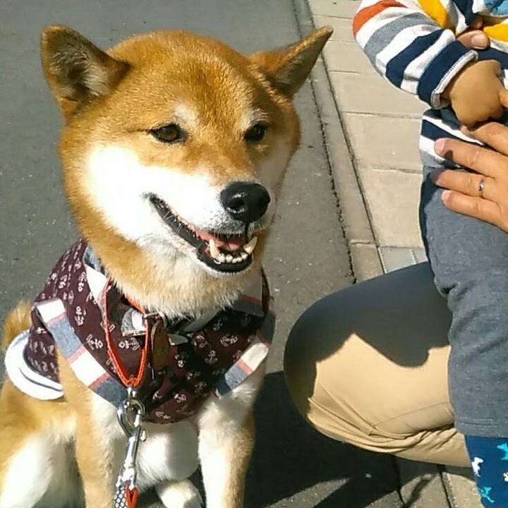 4b9495dd d2cf 4f8e ba15 f0200a75d5c5 1578908299889