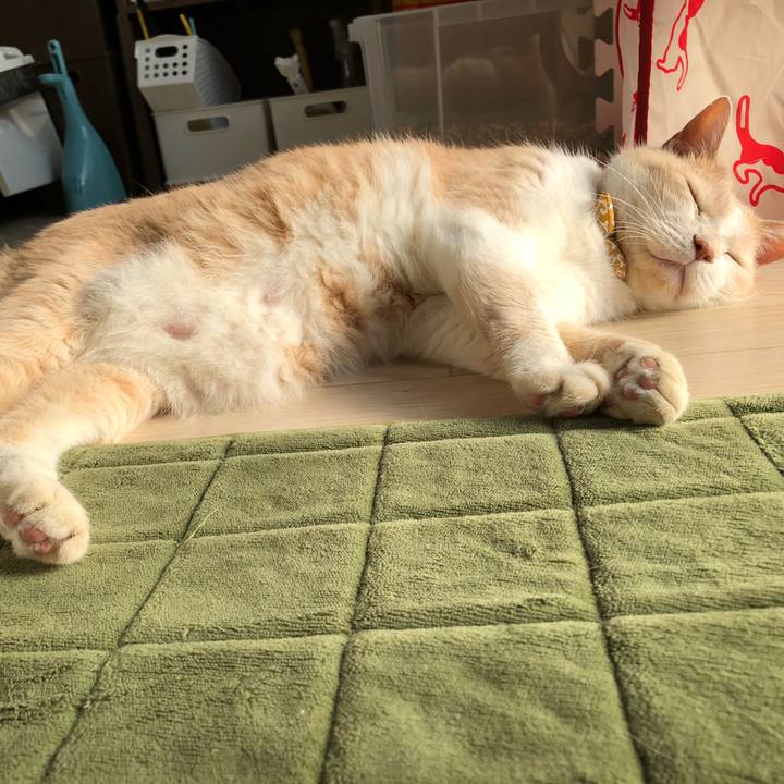 4b949657 05d5 4d05 85d4 d5efcfdbd4e9 1598788181881