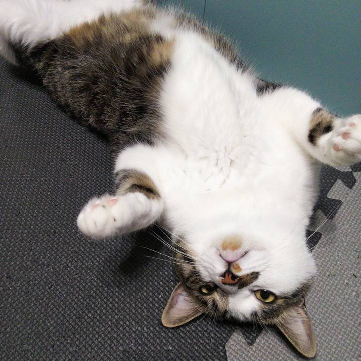 4b94a543 ef56 4fa1 8e5f 4740fa999f77 1653737859406