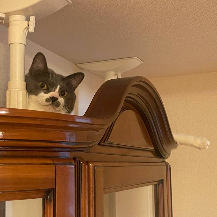 4b94db66 8202 44e6 9d62 0222d8c3f3a1 1626177827046