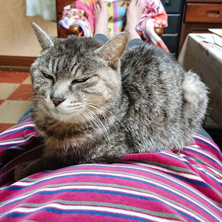 4b94e380 cbef 444d a4dc b7fe15007830 1584701437375