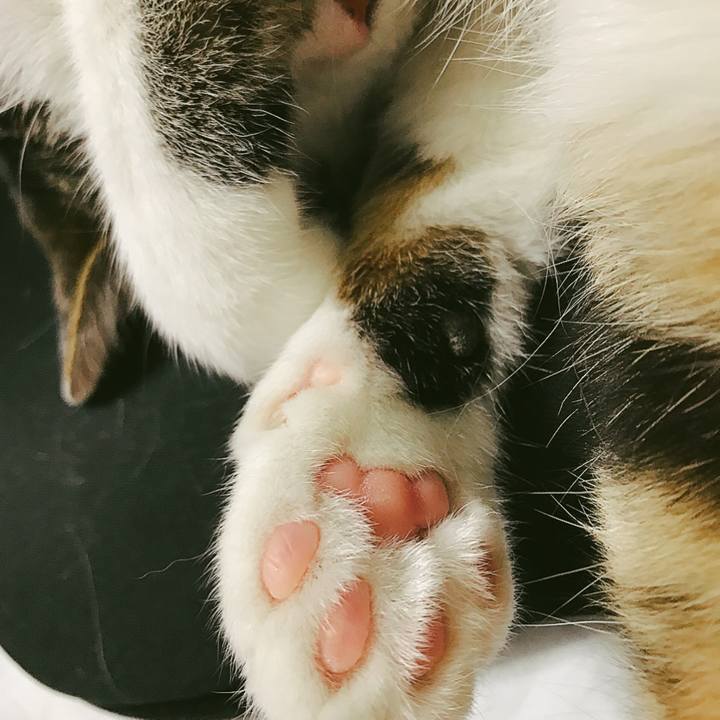 4b94e443 55f3 442a ab15 f5c3f390de23 1507861424045