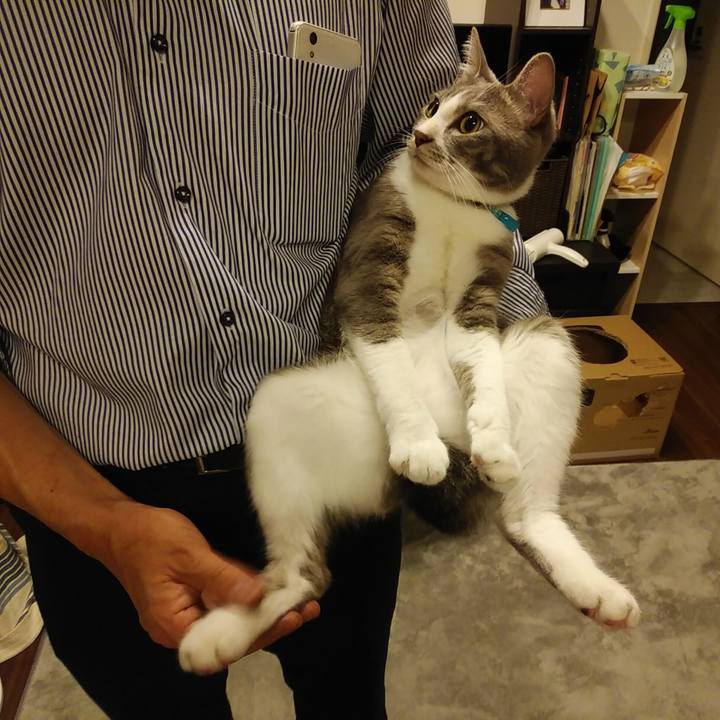 4b94edac e53b 413f a26b e1f53ff241a3 1592749272086