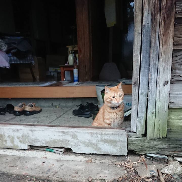 4b94f492 6745 4b55 8515 f5cb39230c67 1658004632031