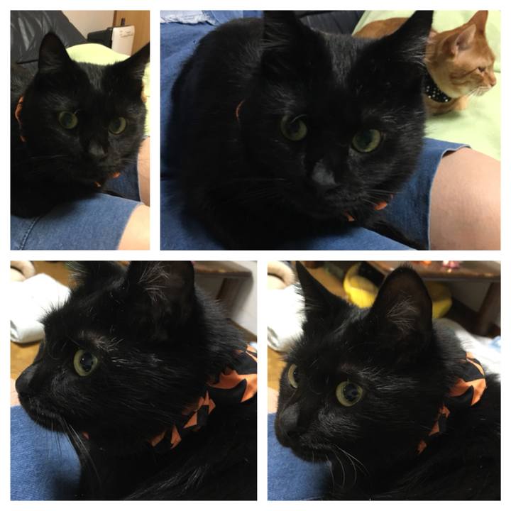 4b94fea8 351a 4f5e be27 5a791b861ac9 1540816969959