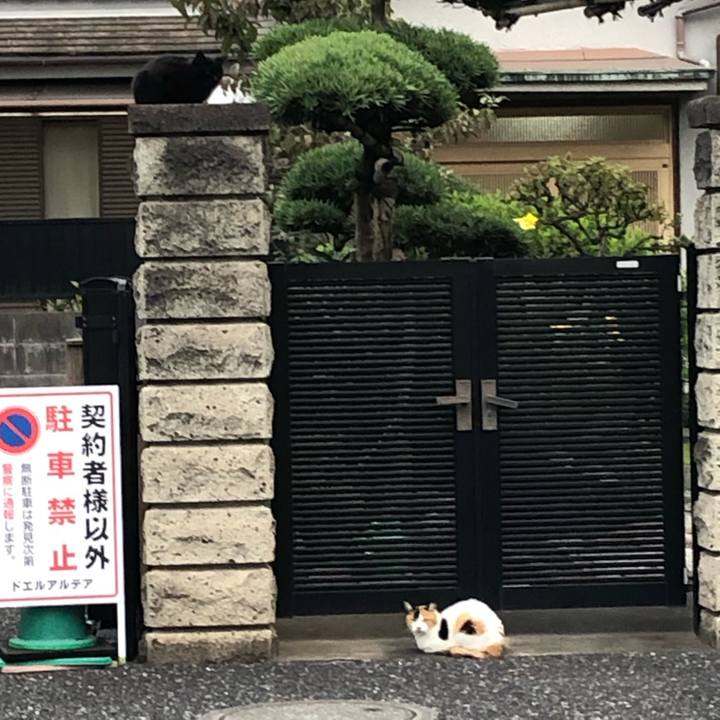 4b950519 fdfb 4d91 98b9 324e1b7351b4 1638013789913