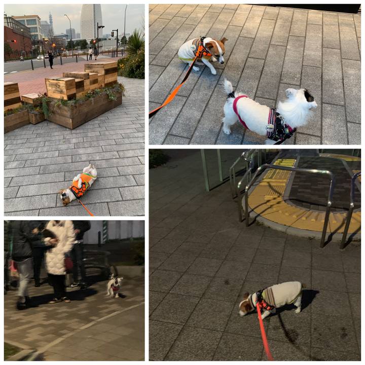 4b952add 09c6 46a5 b82c 2d8c33ee73bb 1545817152095