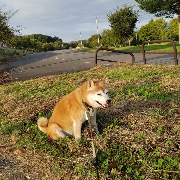 4b955ffa b2e1 4153 89f7 cf36fe5313ce 1663142210335