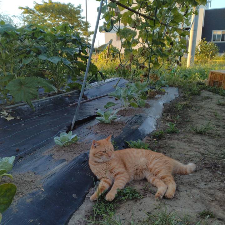 4b956d1d 6290 47a2 a2fb 18a283de3ac4 1692744576991