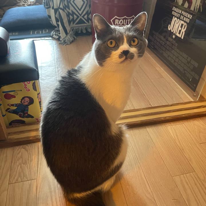 4b95706f 5f82 4460 b265 ea2d39fa0ff9 1743992305234