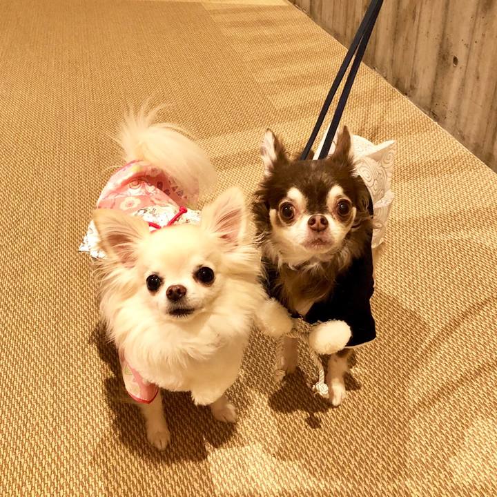 4b95ac74 e45c 43a3 bad7 666ced37e83e 1546303326989