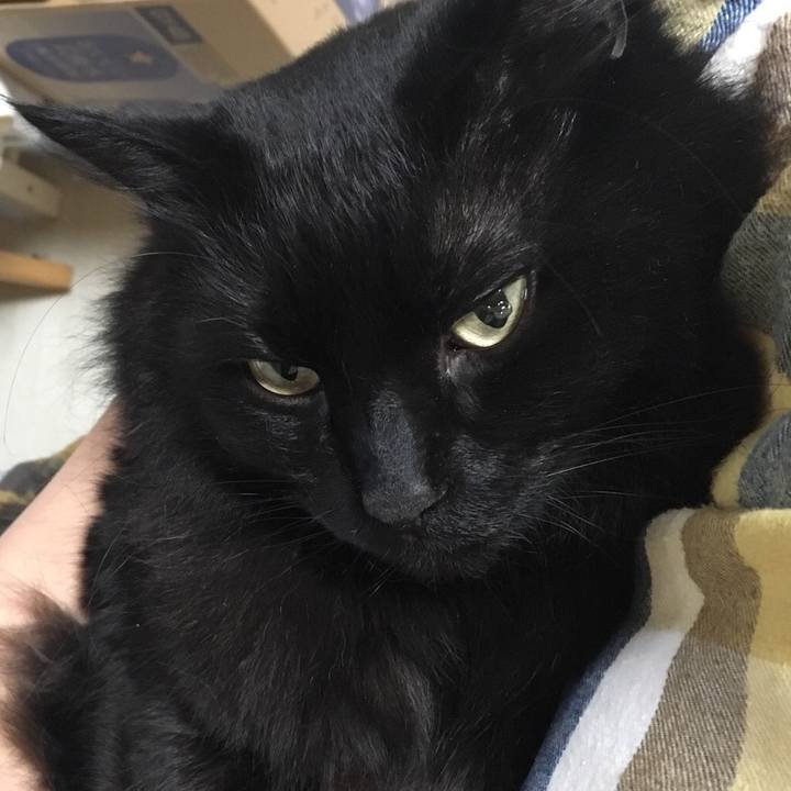 4b95b711 95ec 4f1d 924d eed5ae71c0e5 1528650477207