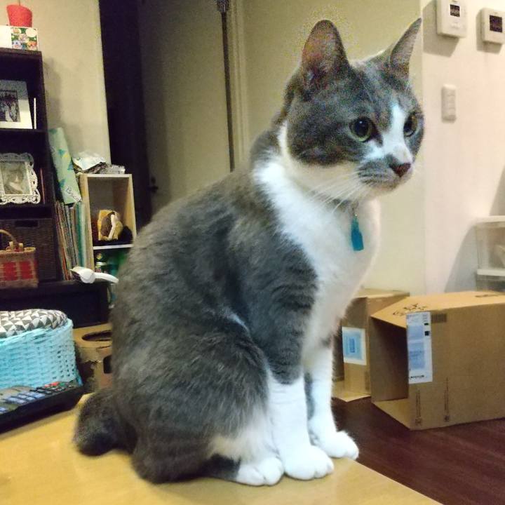 4b95b9eb bd80 48a3 8772 262cbd164f72 1636977104908