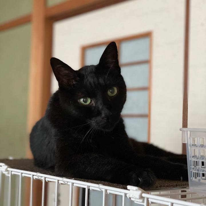 4b95f8dd 1148 40e6 a366 ee734e9b5b65 1661049490921