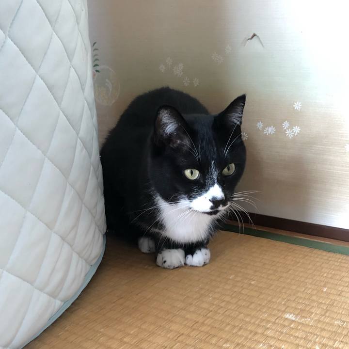 4b965b0e e008 452c bfb8 319f50e5b633 1638416264886