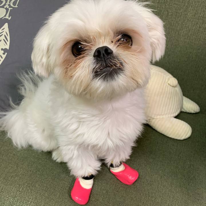 4b965e92 7d23 41d9 9f76 75587829faad 1686137263709