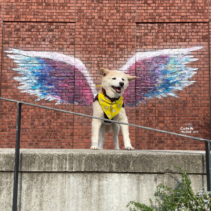 4b967246 4664 4406 9d02 2040c3fe5efb 1699290317816