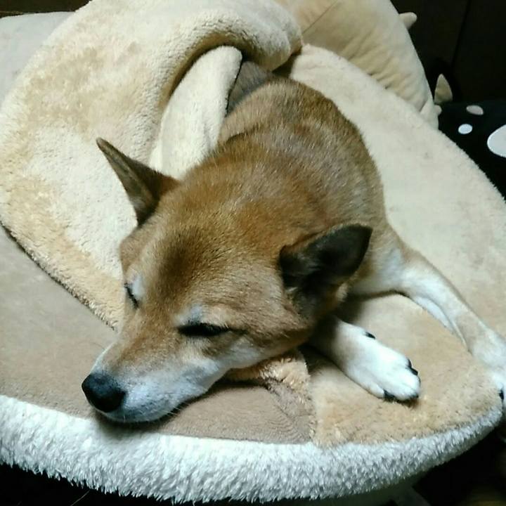 4b968bc4 0f2f 49b2 adef 1d8e9e06e3e5 1570628922413