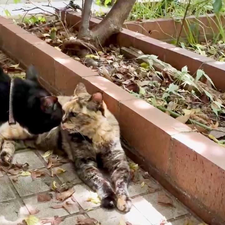 4b96e337 913a 4280 9034 408b8ec50742 1752372585598