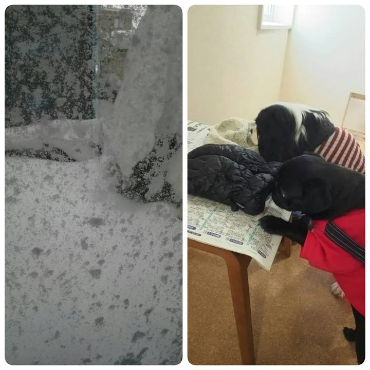 4b96e45e bd53 4f8d b8be e0f2e18ffeb7 1517891656231