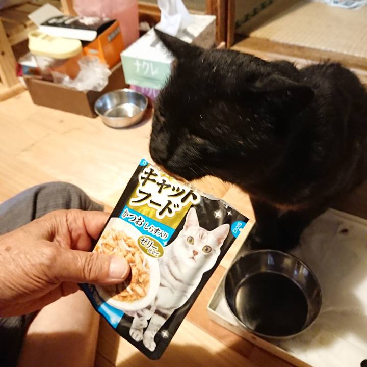 4b970c66 8f50 443d bdf0 cd929bf13662 1627472709780