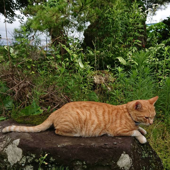 4b971baa 19f3 4aef 8850 0f007773be44 1563611658455