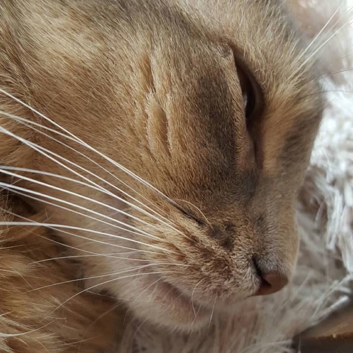 4b97209c 9088 4ecc 8ca2 9dfcf2103e2c 1540700672126