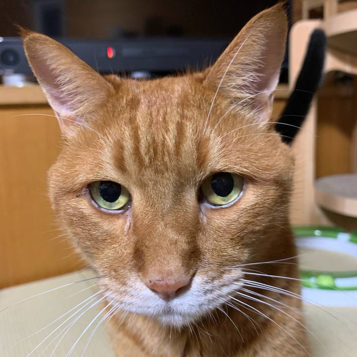 4b972ad8 9de6 43ab 80e7 94b9c8261863 1661601367912