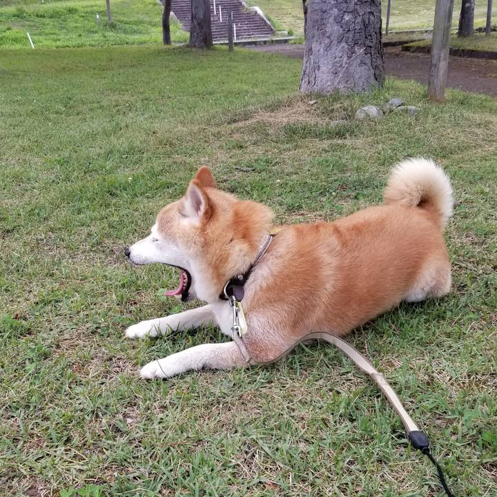 4b973420 8864 43ac 9141 212c9af6c3de 1658825460529