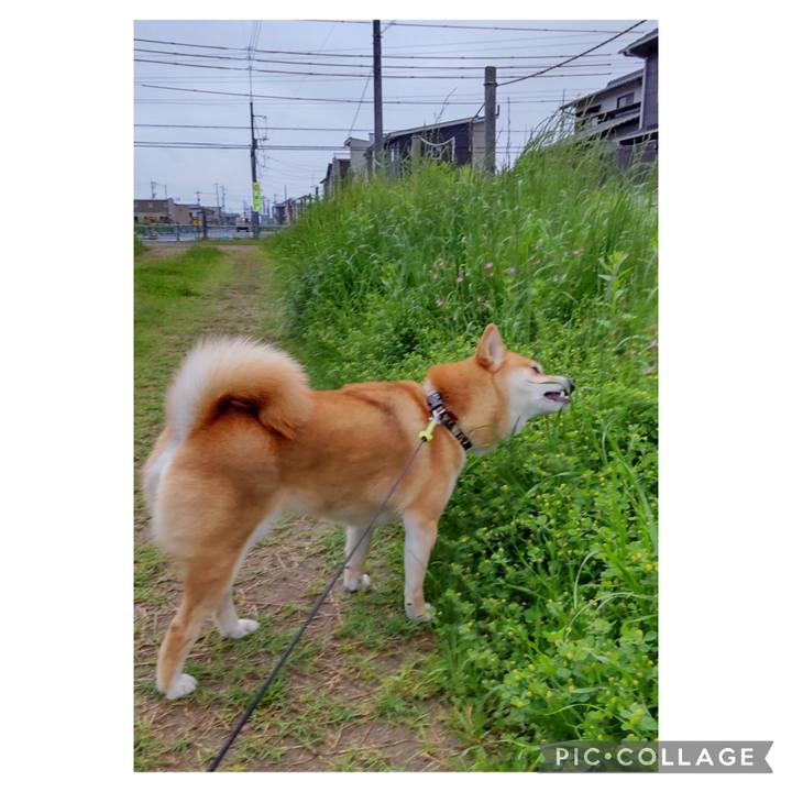 4b975bb1 4144 41fc 8278 6149859b4410 1684445590470