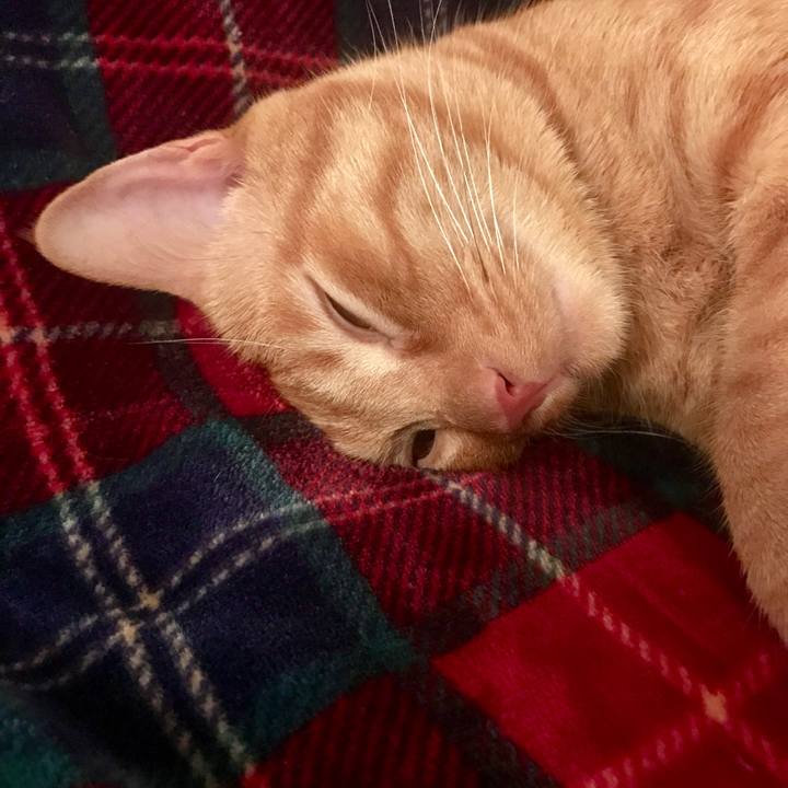 4b976e15 0a1f 493b 8bf2 77af3c48ec81 1600901132935