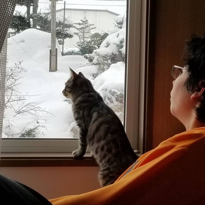 4b98036b 8645 4ddd a937 3616890196d7 1671358835065