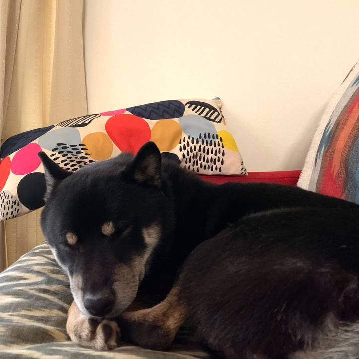 4b9844c5 4112 4bd1 9bd6 1c4260dcb4f0 1577795782720