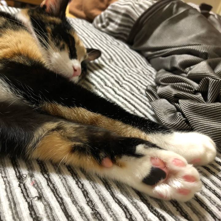 4b9888f4 4d82 4969 9b96 84ce4a2af40d 1558791338670