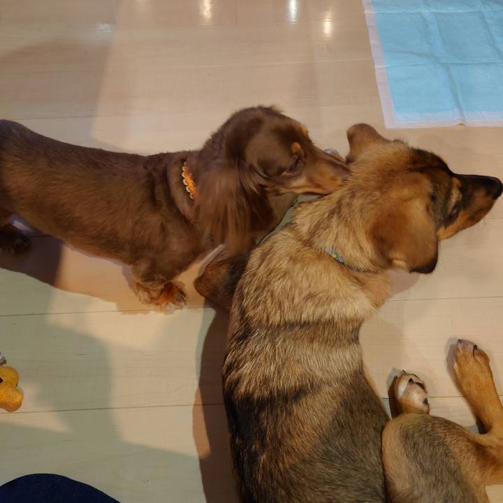 4b98ec3b 1569 4877 94fa c1963d949bfa 1686268091910