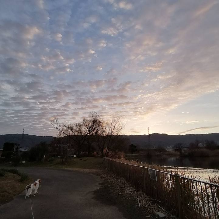 4b993d9f e8bb 465d 8d70 e0efc648379b 1579911215620