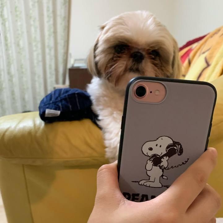 4b994031 7147 470f a3f1 babd6d9fe3da 1591012227963